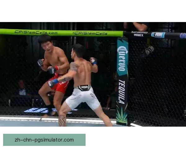 UFC：搏击盛宴，热血擂台闪耀