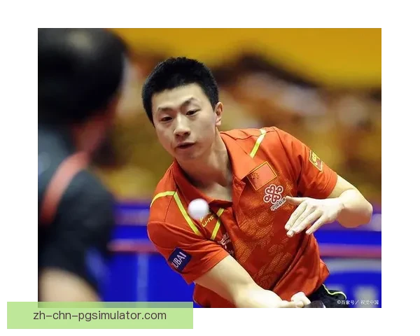 乒乓球世界纪录大观：深入探究球技里的惊人壮举