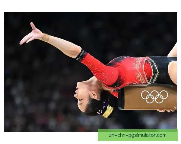 体操赛事掀新篇章，选手风采闪耀全场