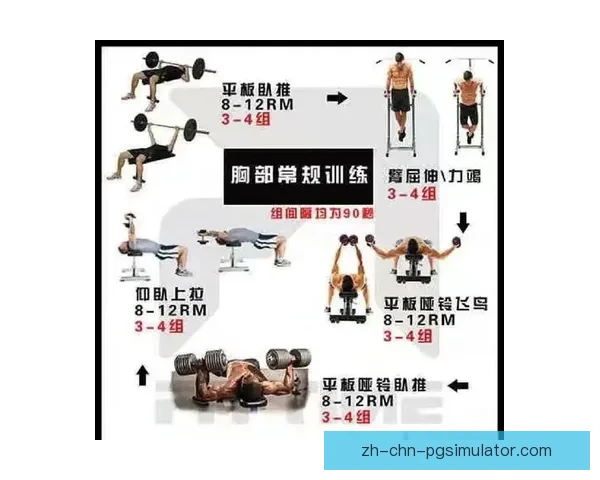 全面提升体能水平,打造完美身材的有效健身计划 全面提升体能水平,打造完美身材的有效健身计划