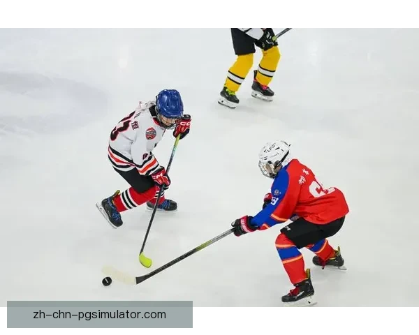 冰球比赛数据分析及胜负预测技巧分享