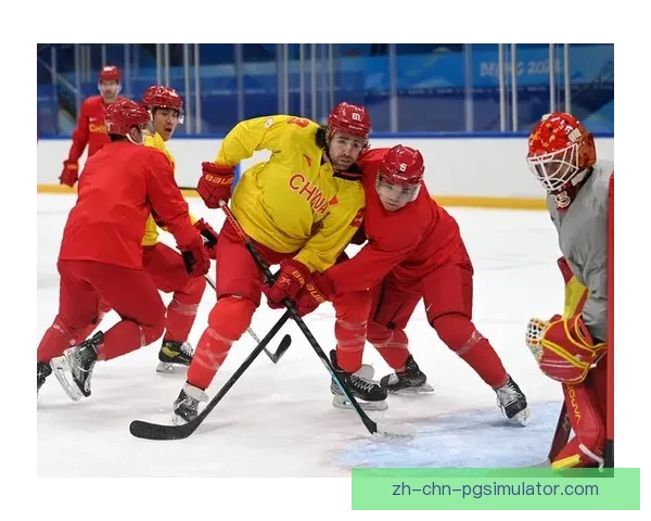 冰球训练新颖方法解析 冰球训练新颖方法解析
