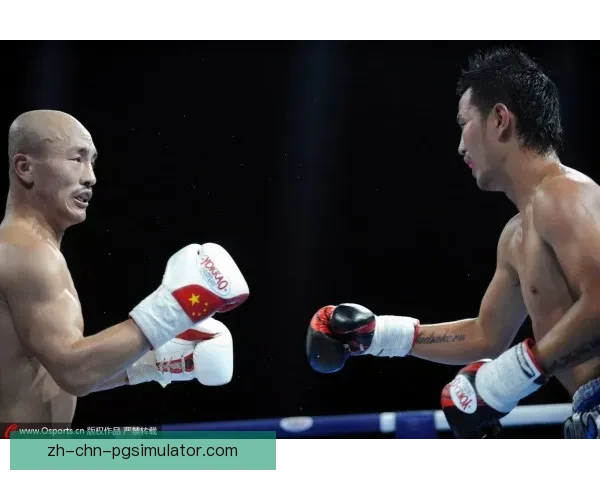 拳击盛宴：擂台争霸全球拳王
