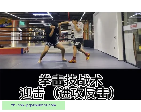 拳击大师的技巧与战术秘籍