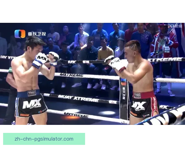 拳坛风云：突破极限，挑战无尽可能