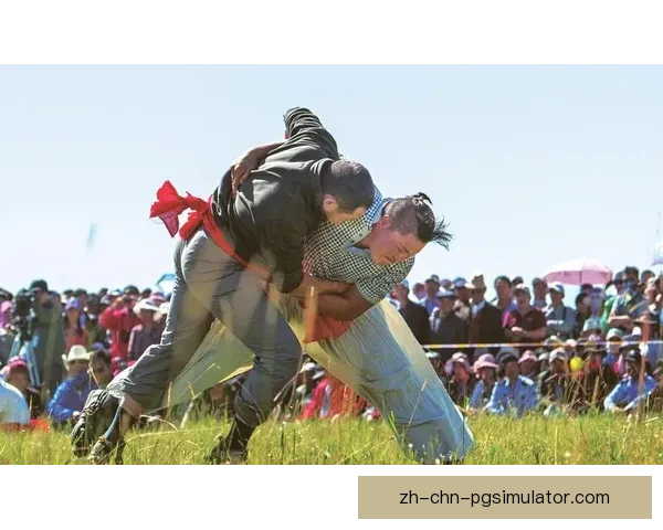 搏击巅峰：闪耀摔跤之路