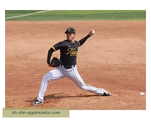 棒球规则全面解析及实战演练技巧分享 棒球规则全面解析及实战演练技巧分享