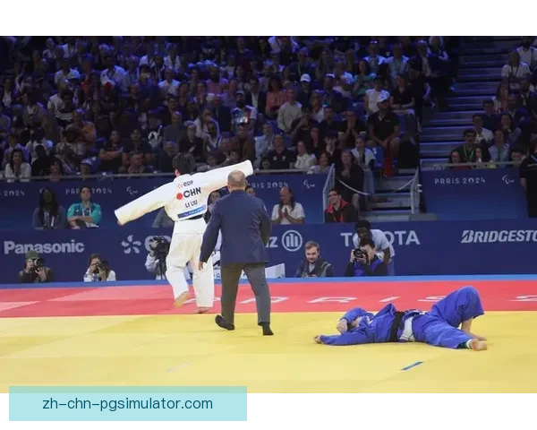柔道大赛，巅峰对决，精彩纷呈