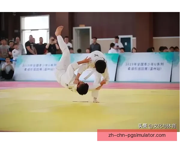 柔道数据分析：技术评估与对比研究