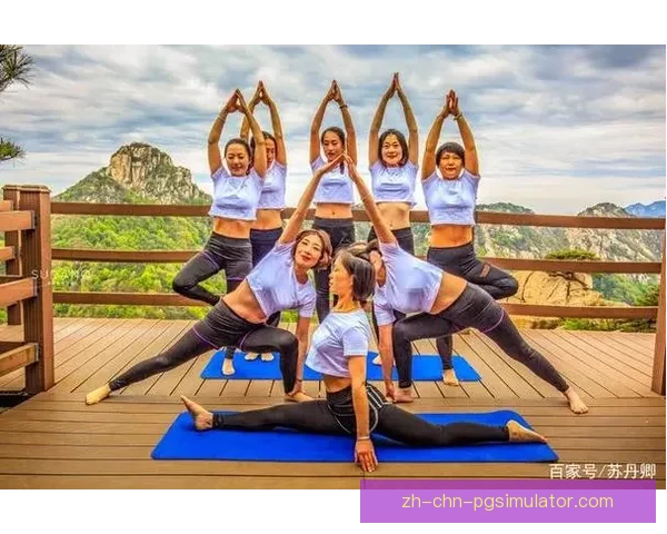 瑜伽排名鲜为人知的十大冷门练习方式