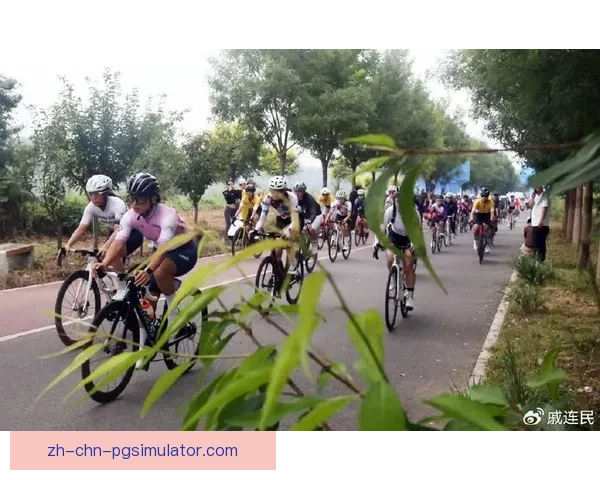 激情飞扬：自行车大奖赛赛道上的风采
