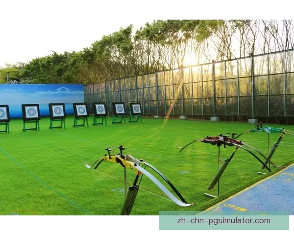 精准射箭技巧解析与训练指南 精准射箭技巧解析与训练指南