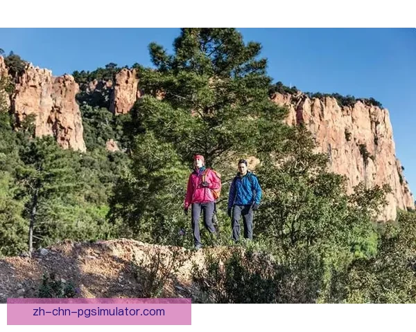 越野跑投注技巧大揭秘，助力你稳赢不败