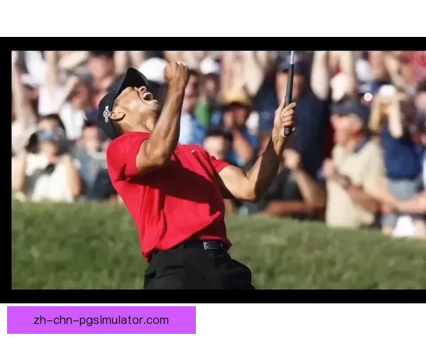 高尔夫世界纪录大揭秘-挑战极限的壮举