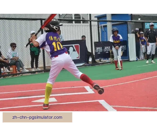 重返巅峰：揭秘棒球冠军背后的辉煌历程